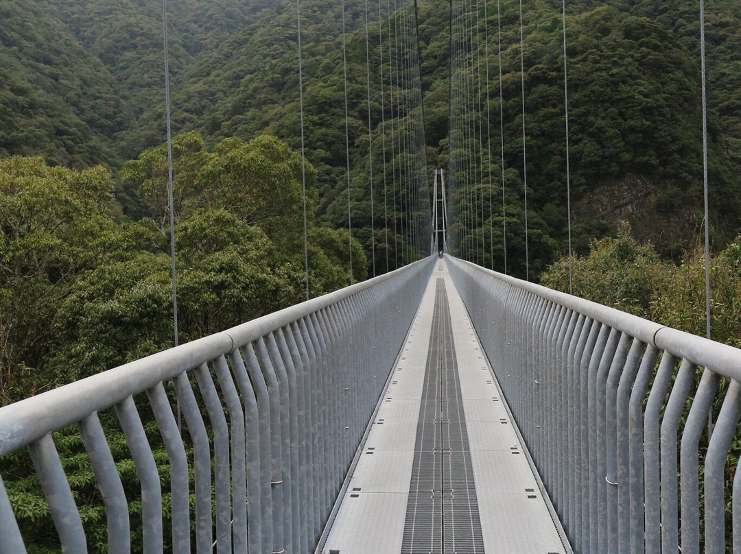 Aya Suspension Bridge景点图片