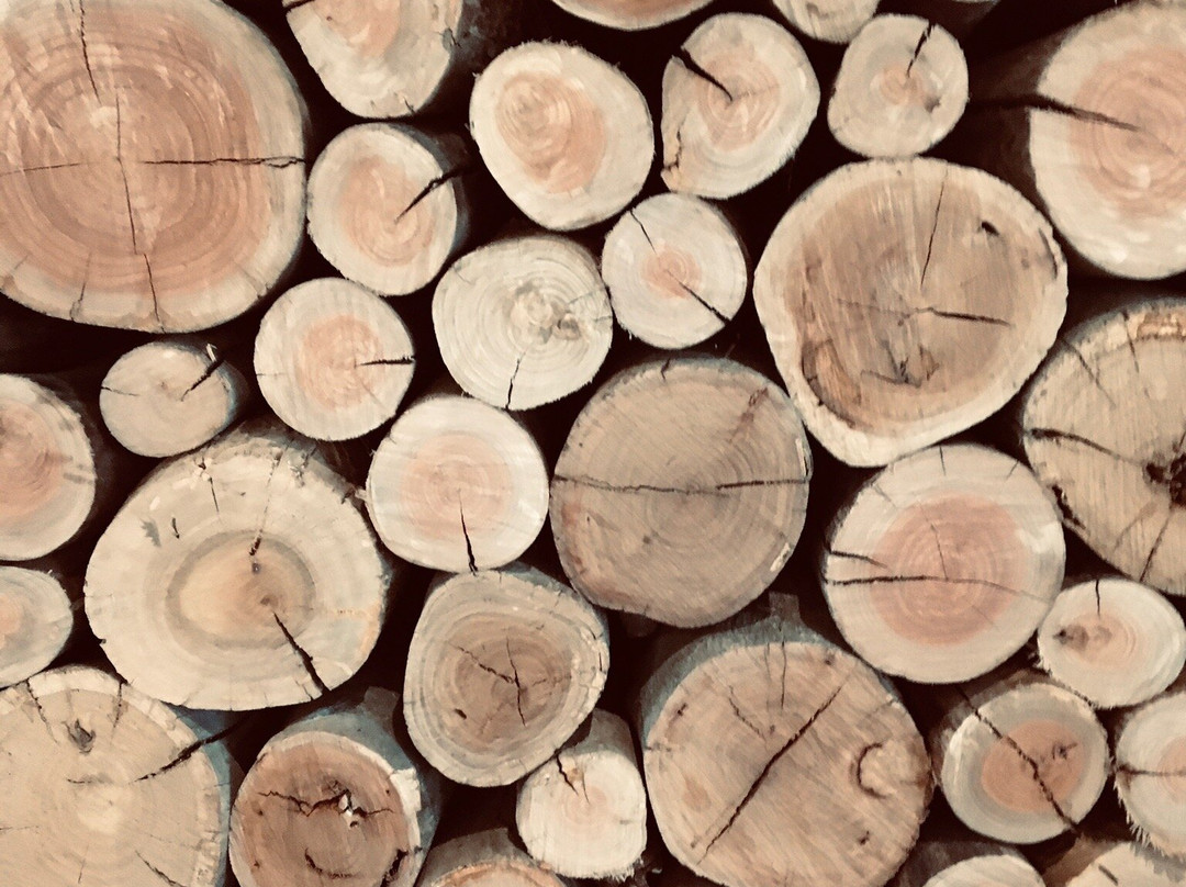 Pikes Wines-Sevenhill必去景点