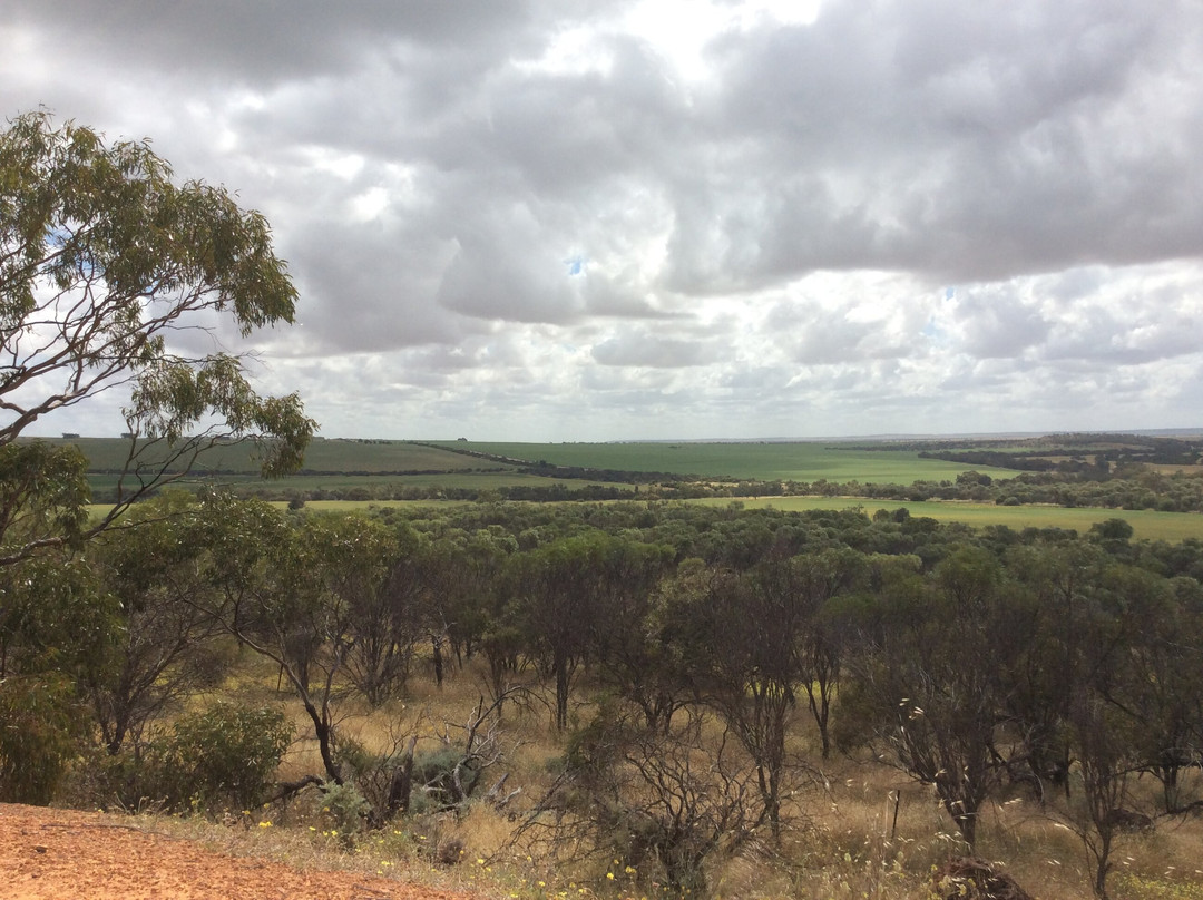 Mingenew Hill-Mingenew必去景点