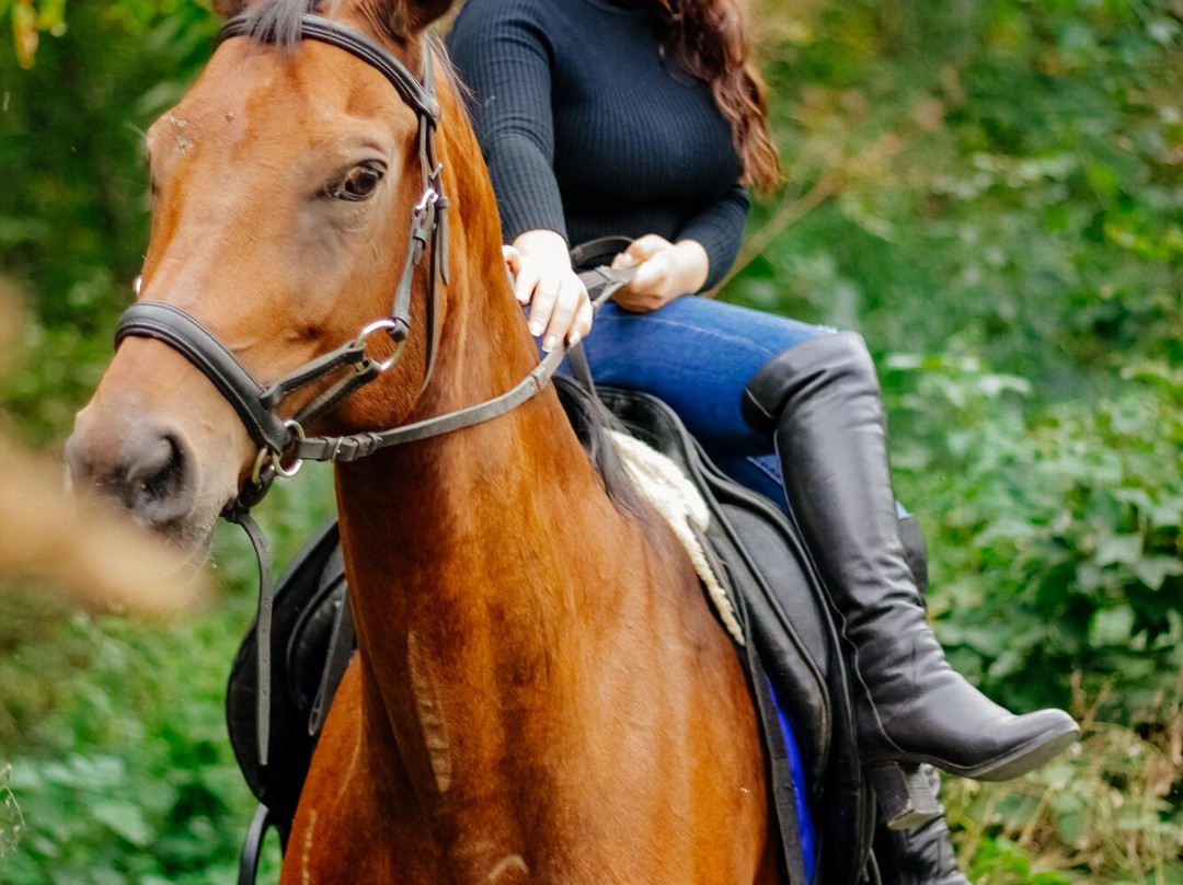 Cossack Horse Riding Club景点图片