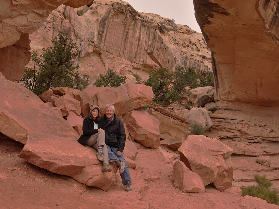 Torrey Schoolhouse Bed & Breakfast Inn主图