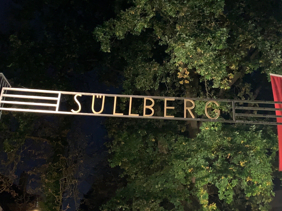Süllberg Hotel主图