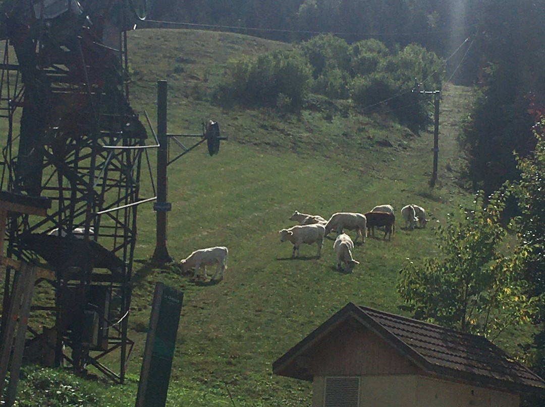 Hôtel Restaurant La Buffe主图