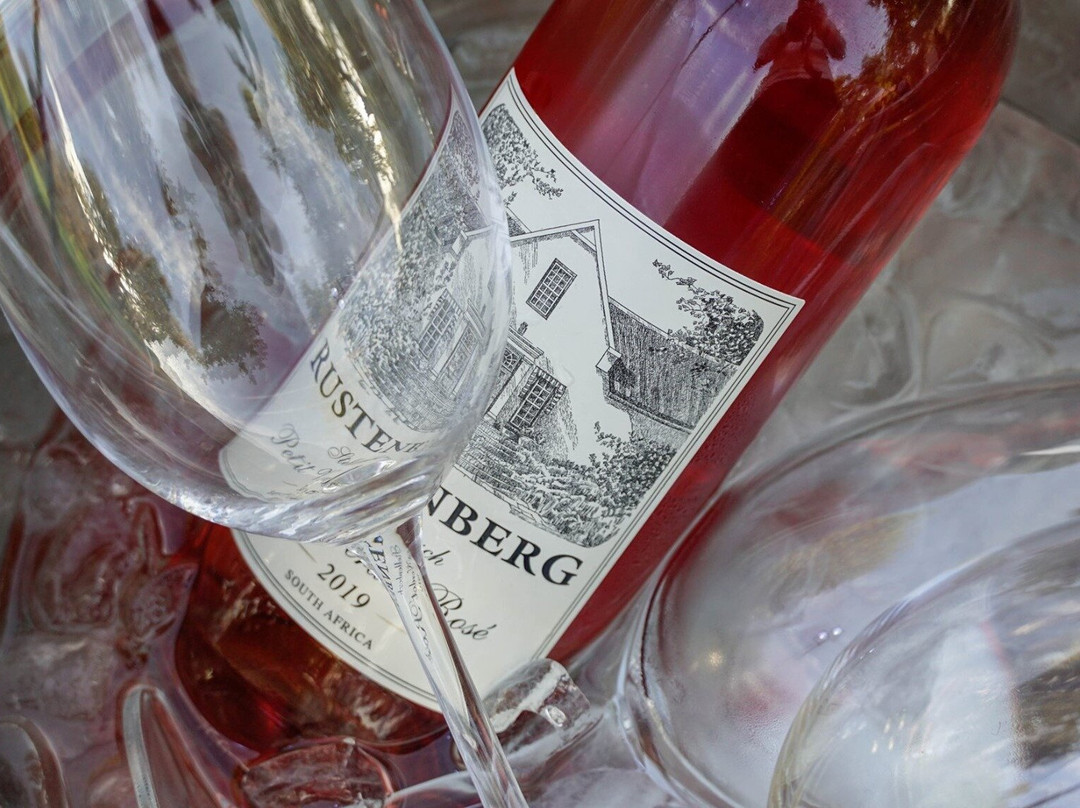 Winelands Art: Sips & Sights Day Tours-斯泰伦博斯必去景点