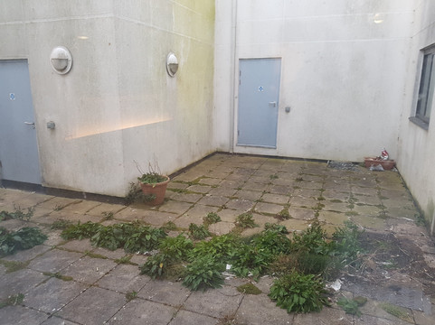 纽基海滨酒店主图