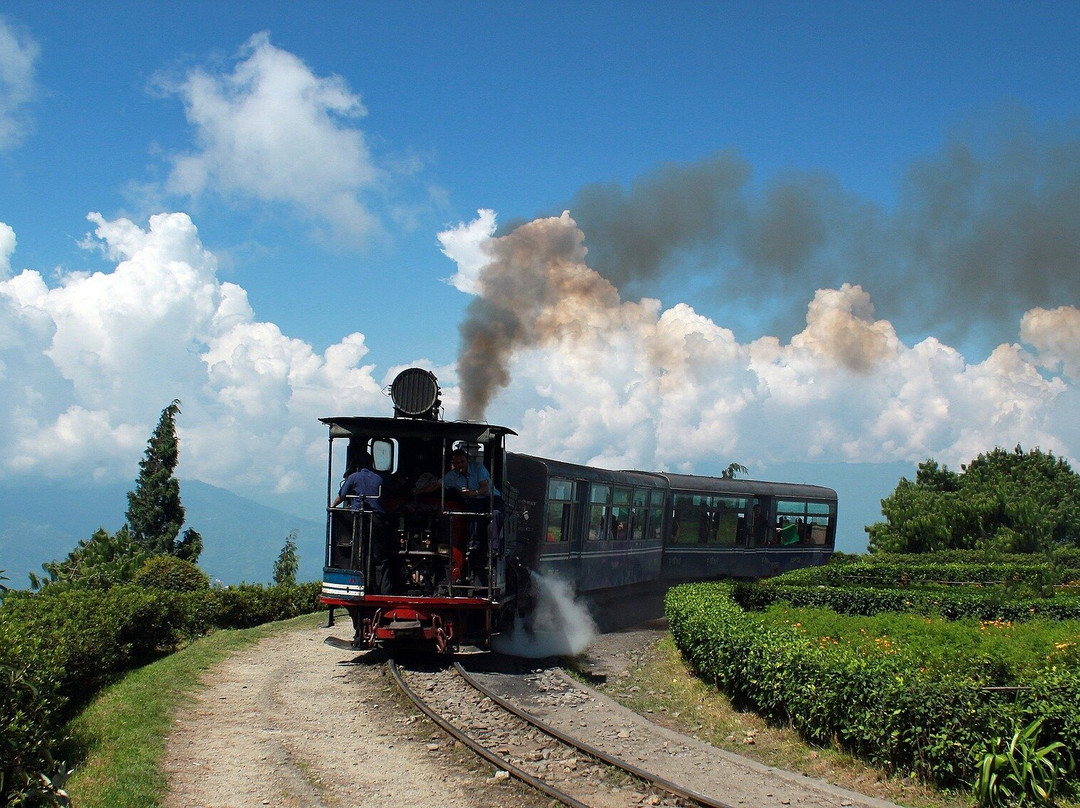 Yellow Umbrella-加尔各答（亦写作“Calcutta”）必去景点