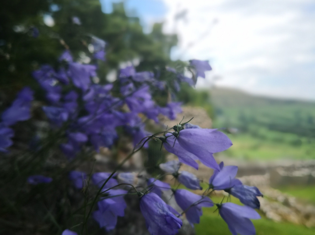 Peveril Castle景点图片