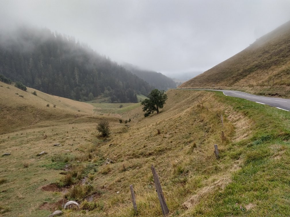 Col de Peyresourde景点图片