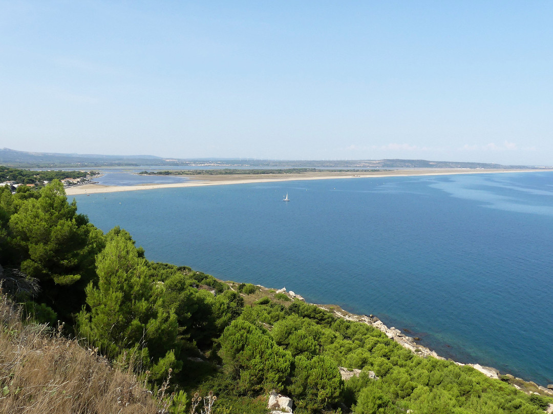 La Franqui Beach景点图片