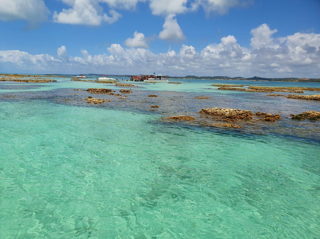 Top Passeios-Maragogi必去景点