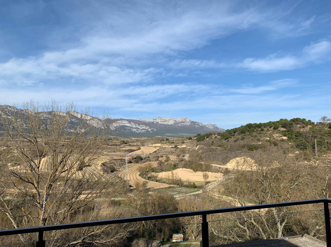 Berarte Vinedos y Bodegas景点图片