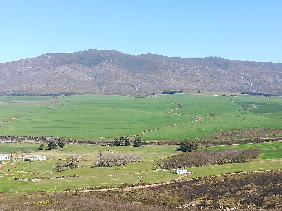 Shaw's Mountain Pass-卡里登必去景点
