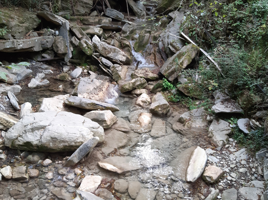 Laghetti Di Lecchiore