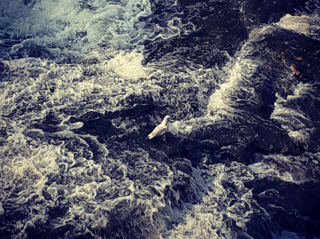 Elora Mill Hotel & Spa主图