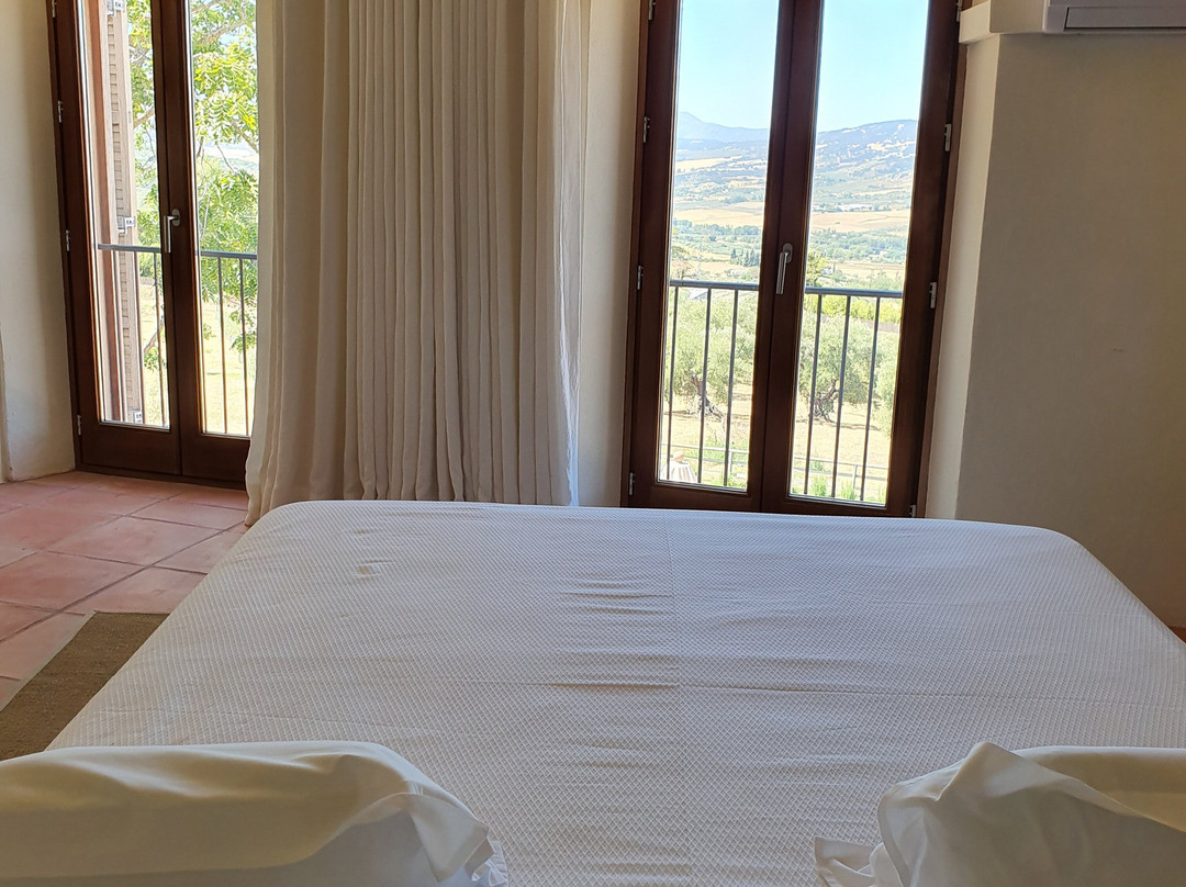 Cortijo LA Organic主图