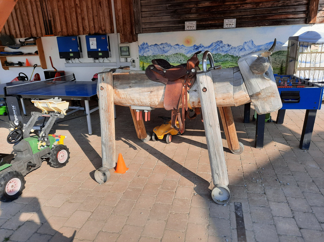 Ferienhof Paulsteiner主图