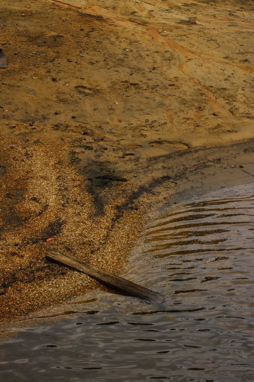 White Oak Lake State Park景点图片