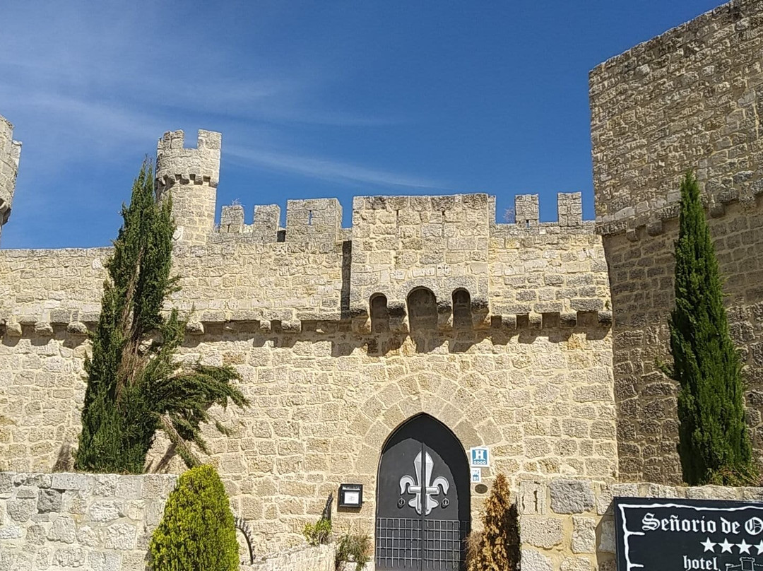 Castle of Olmillos de Sasamón景点图片