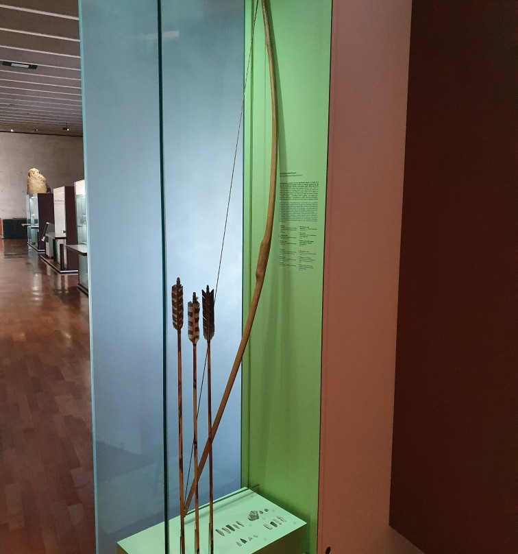 Laténium Parc et musée d'archéologie-Hauterive必去景点