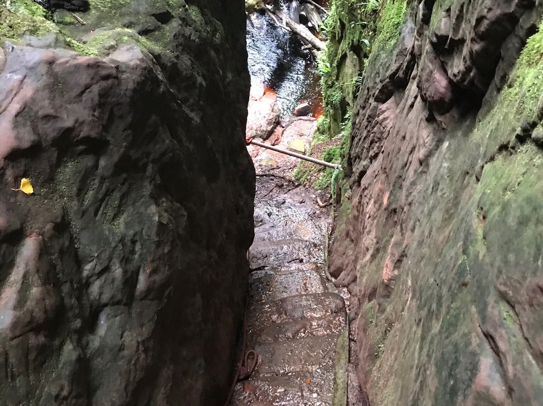 Finnich Glen-格拉斯哥必去景点