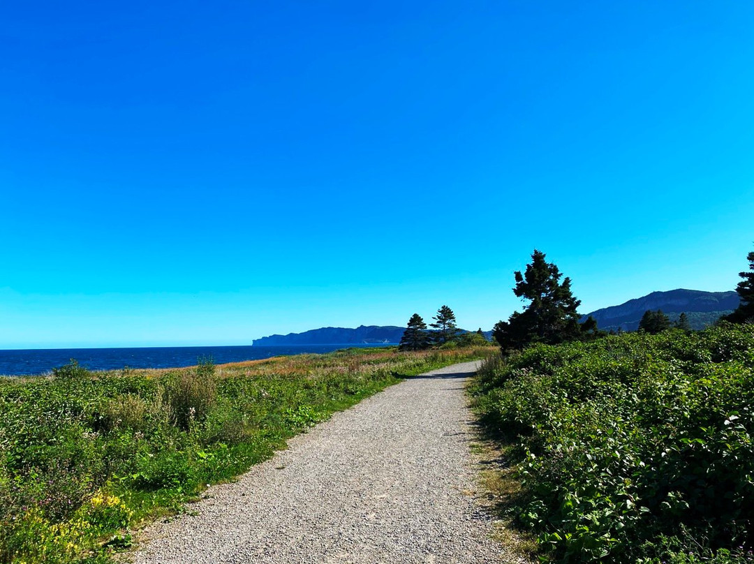 Hotel-Motel Le Pharillon主图