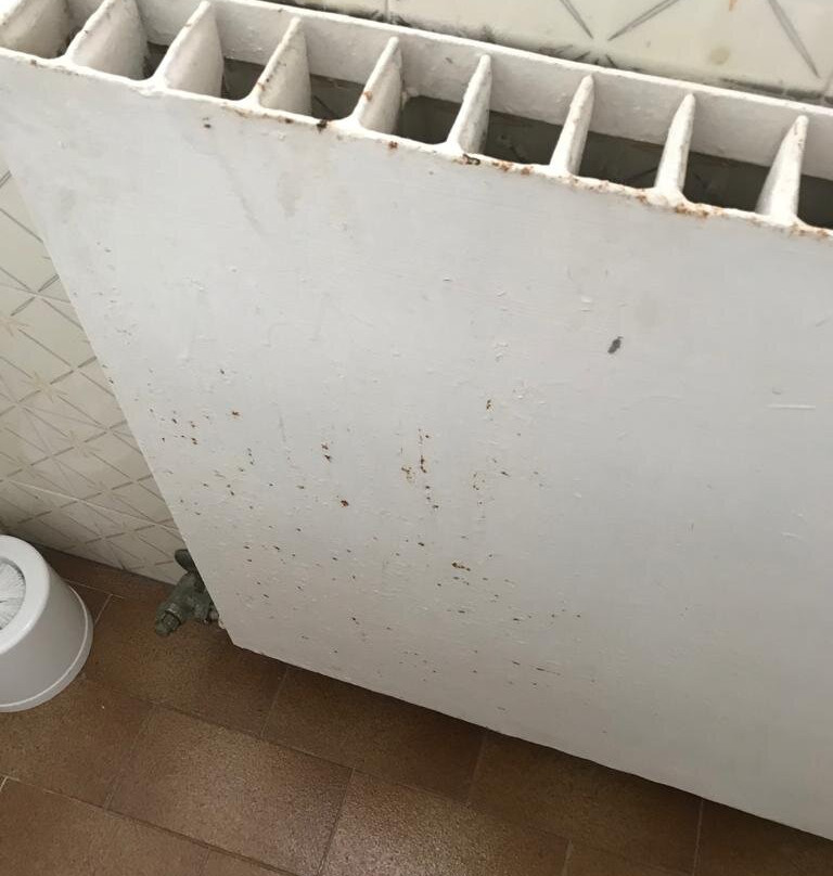 史庞帕帝酒店主图