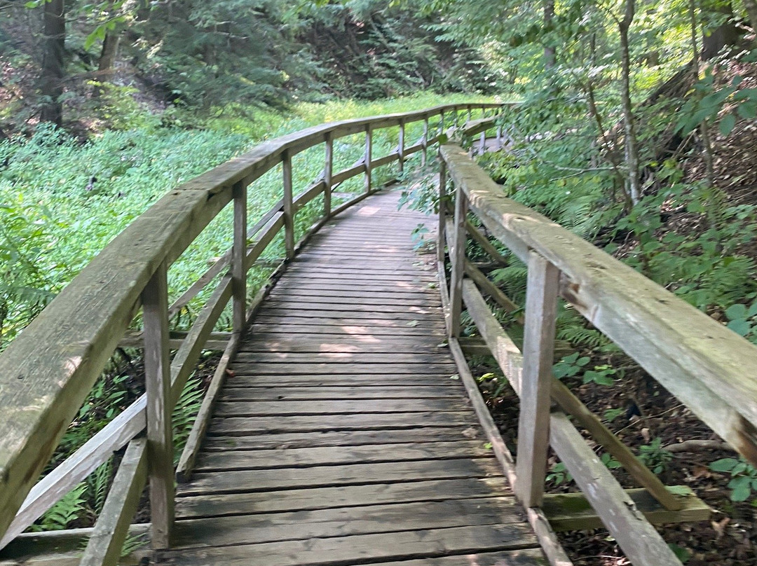 Harrison Park-Owen Sound必去景点