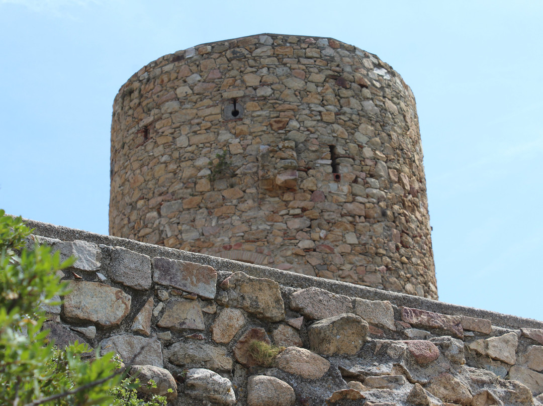 Castell de Burriac景点图片