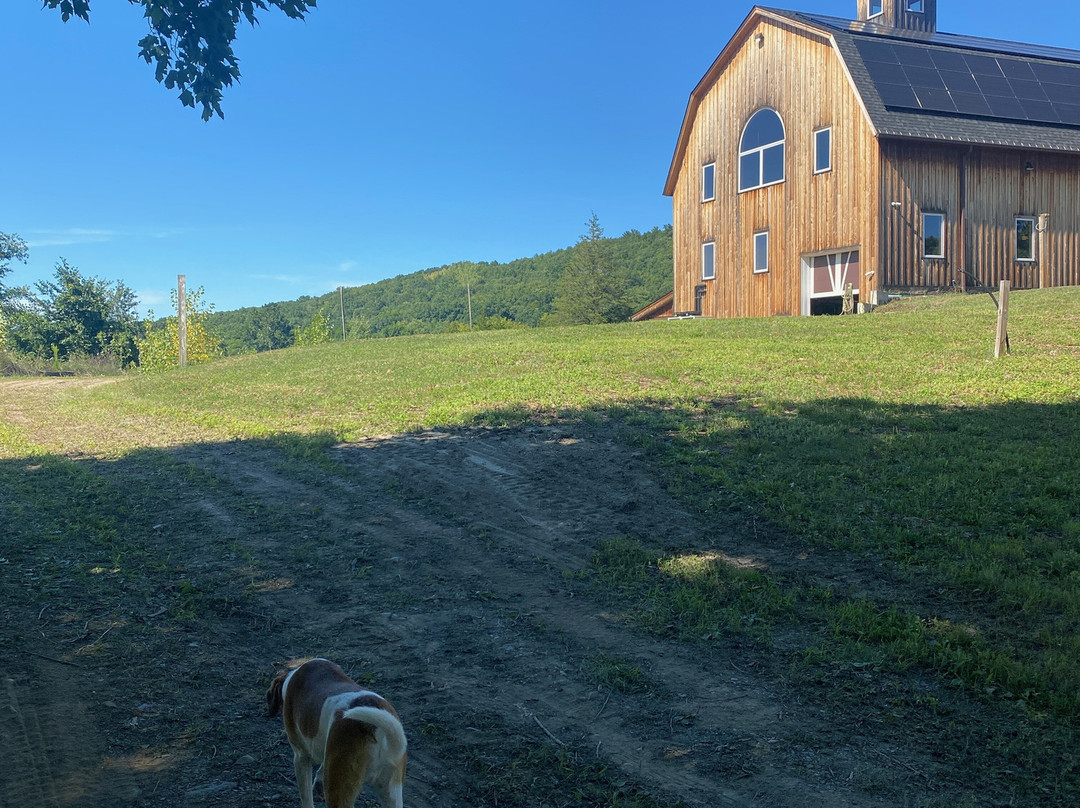 Dutch's Spirits at Harvest Homestead Farm-Pine Plains必去景点