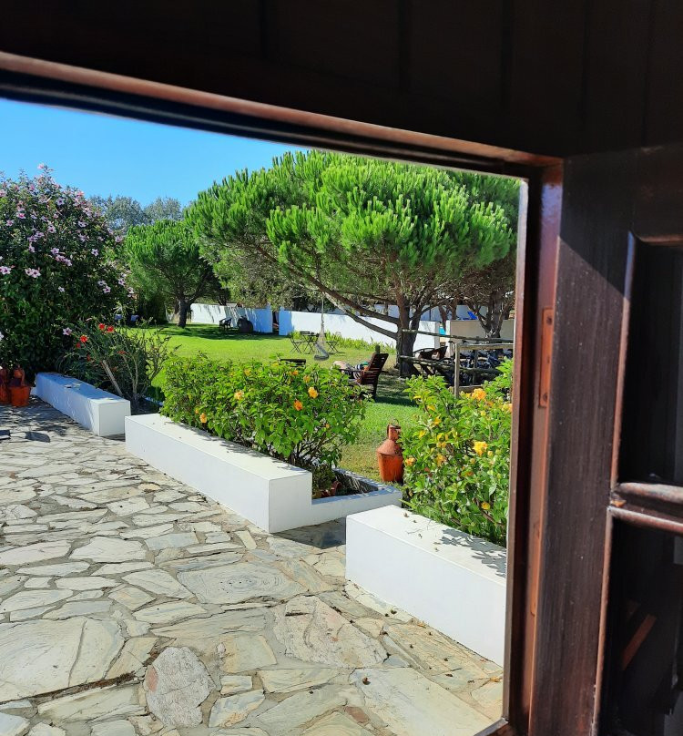 Monte do Papa Léguas主图