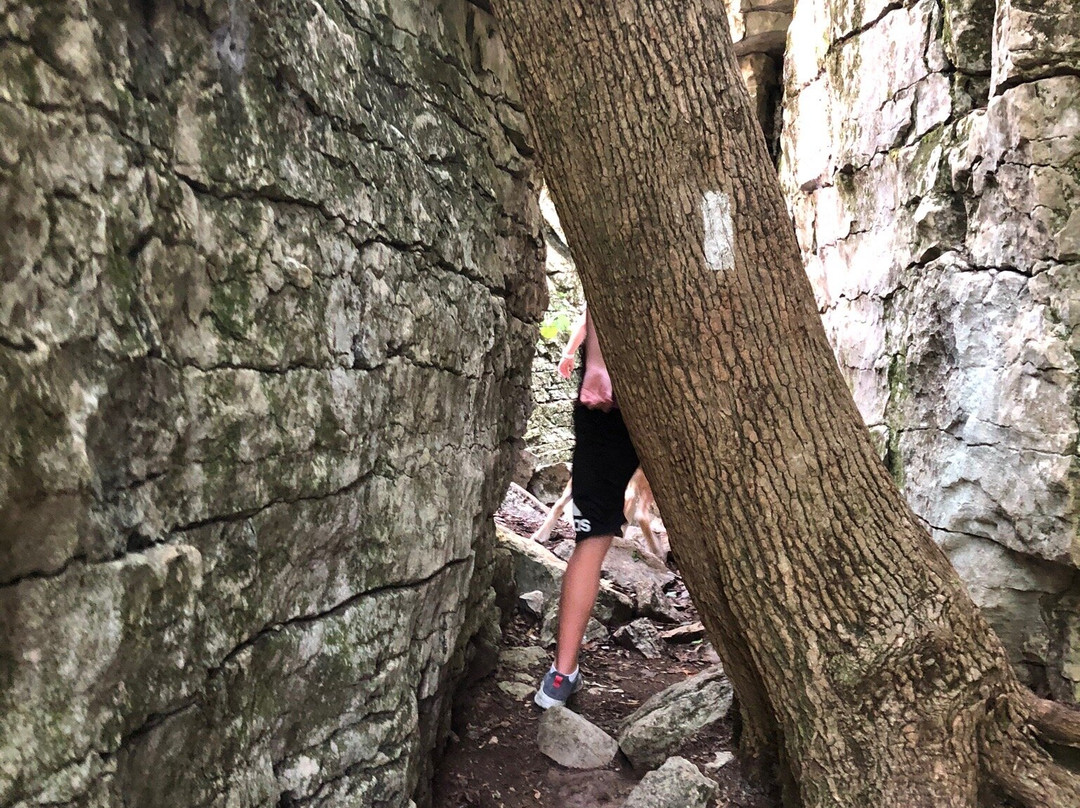 Monte Sano State Park-亨茨维尔必去景点