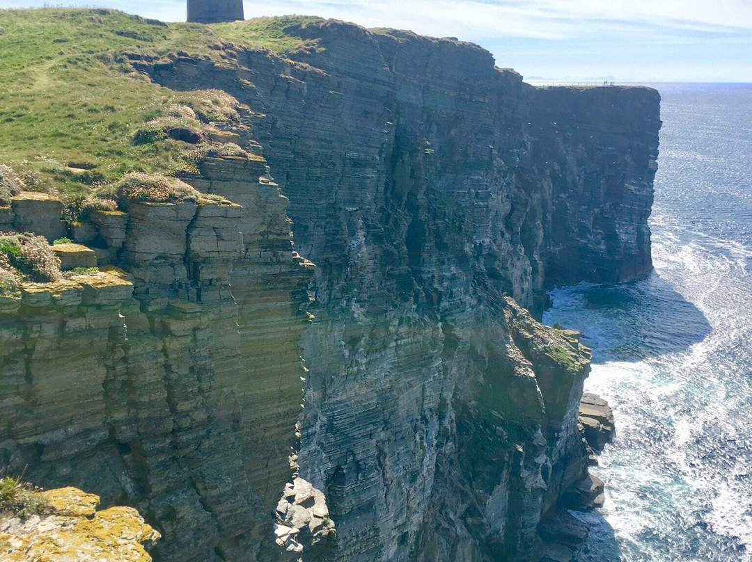 Marwick Head RSPB Nature Reserve-梅恩兰岛必去景点