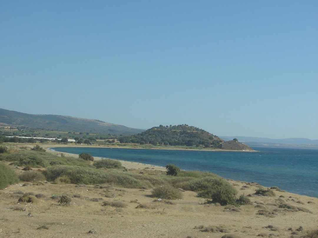 Ida Tatil Sitesi Plaji景点图片