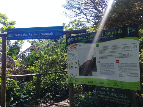 Piscinas Naturais Barra da Lagoa-弗洛里亚诺波利斯必去景点