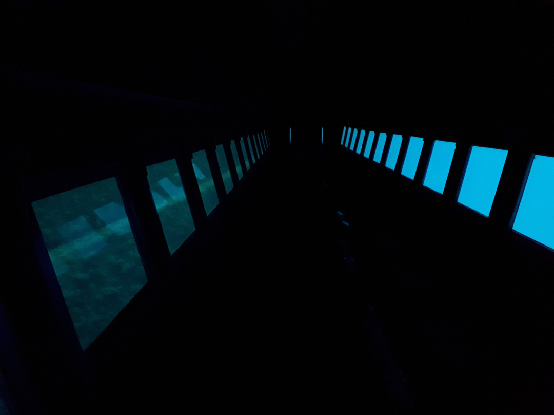 Sea Aquarium Istra-拉巴克必去景点