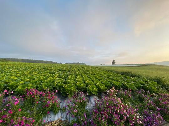 Pension Sankakujogi主图