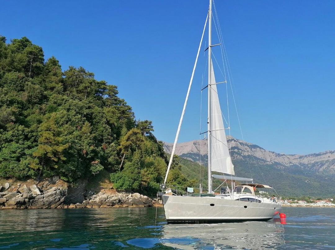 Treaton Sailing Cruises景点图片