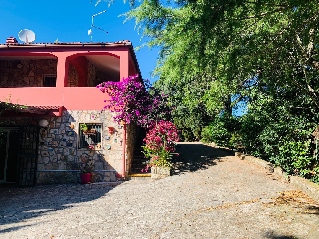 Villa Dan Casa Vacanze主图