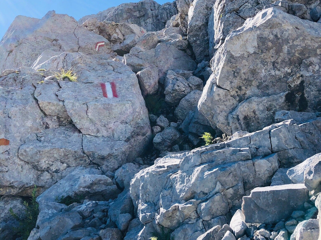 Alpenhotel Plattner主图