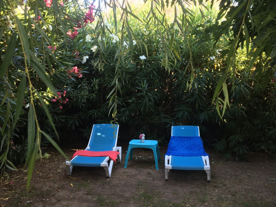 Hôtel Sole e Mare主图