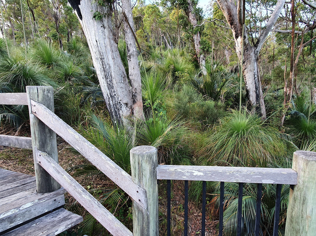 Grasstree Lookout-罗克汉普顿必去景点