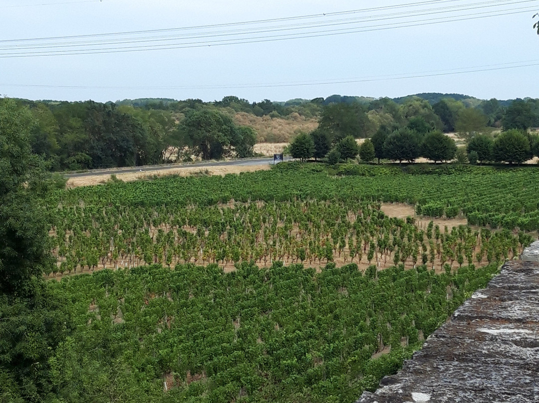 Logis Hôtel Demeure de la Vignole主图