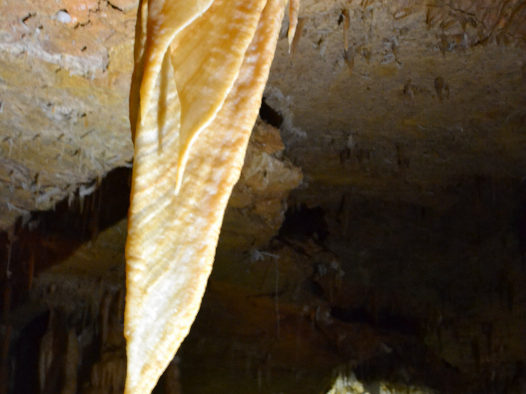 Grotte de Tourtoirac景点图片