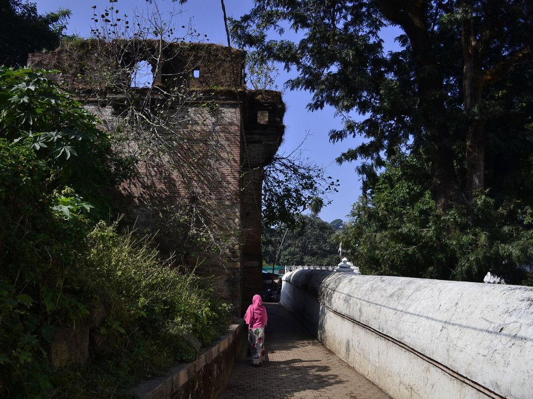Achalgarh Fort景点图片