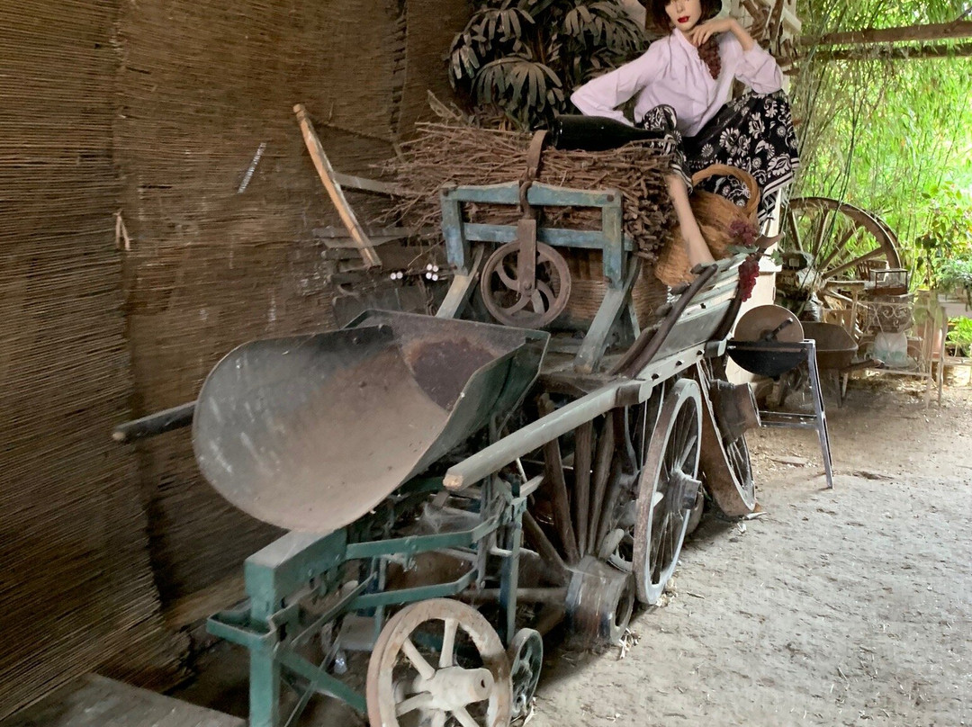 La Ferme aux Oiseaux Exotiques-香槟地区沙隆必去景点