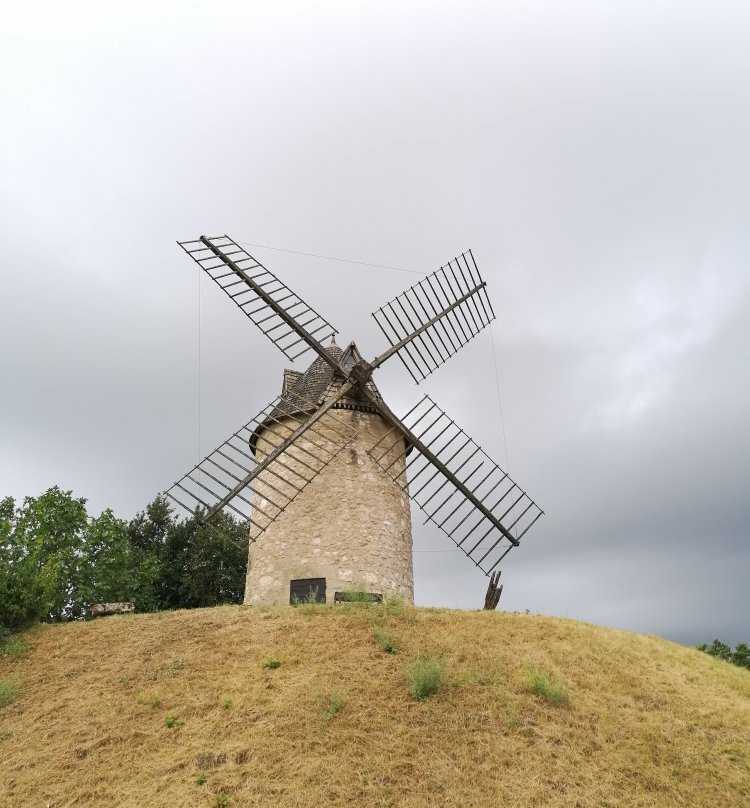 Moulin à Vent de Coulx景点图片