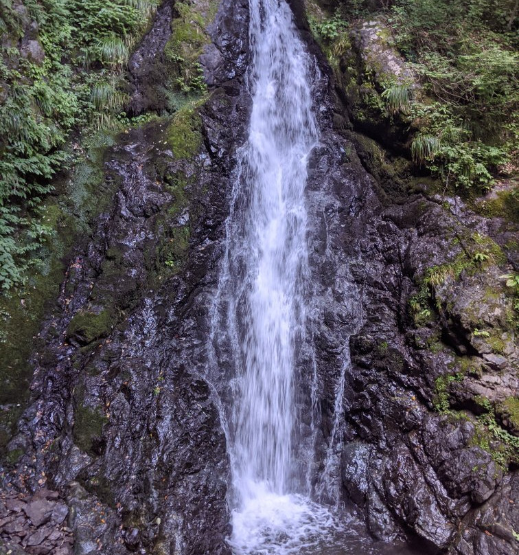 Tendaki Falls景点图片