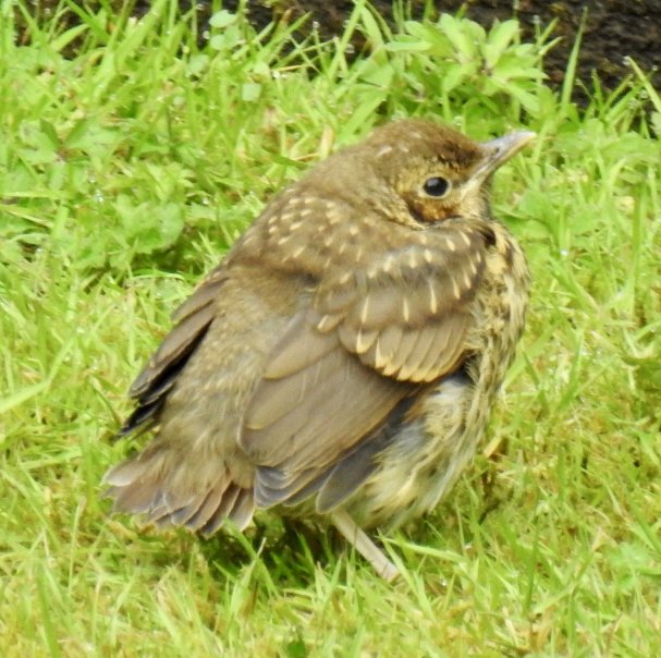 巴尔卡里之家酒店-浴室