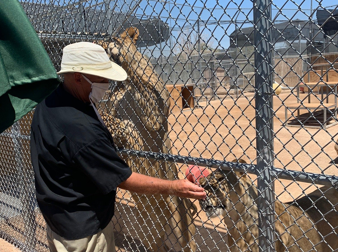Lion Habitat Ranch-亨德森必去景点