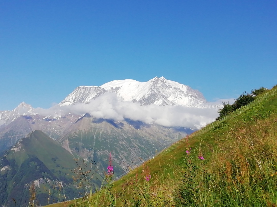 Mont Joly景点图片